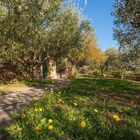 Piccola Oasi-6 By Interhome Holiday home Capoliveri (Isola d'Elba)