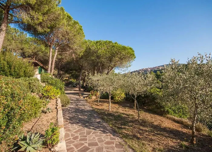 Piccola Oasi 7 By Interhome Semesterbostad Capoliveri (Isola d'Elba)